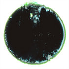 その他 Crystallized [CD] Camellia - crystallized (from album crystallized) - YouTube