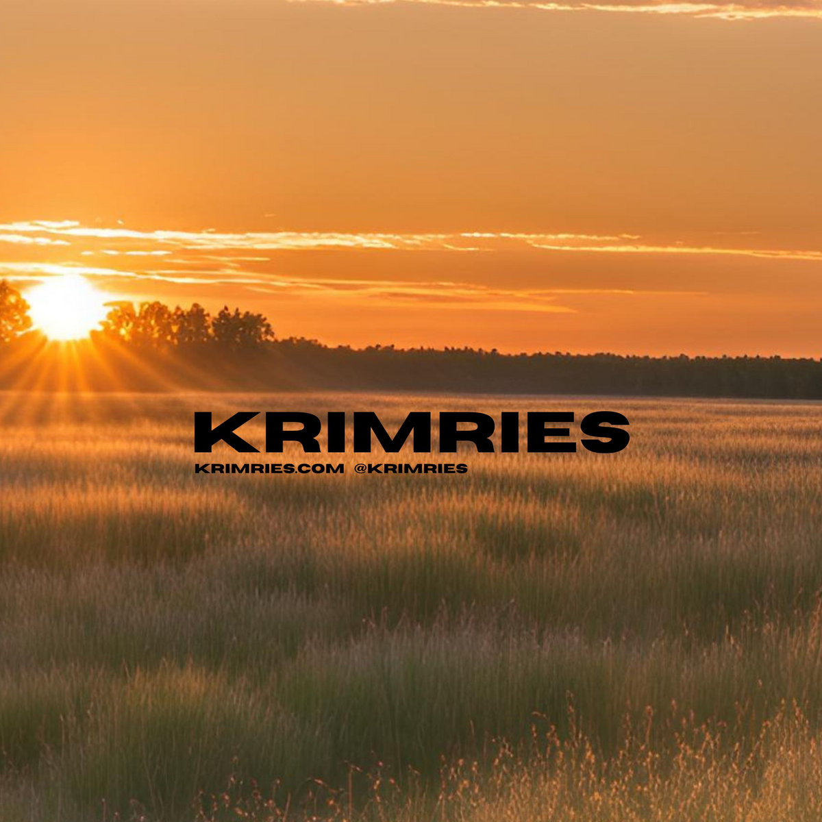 Burning shadows krimries