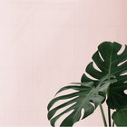 equivalentform thumbnail