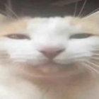 gorp_ thumbnail
