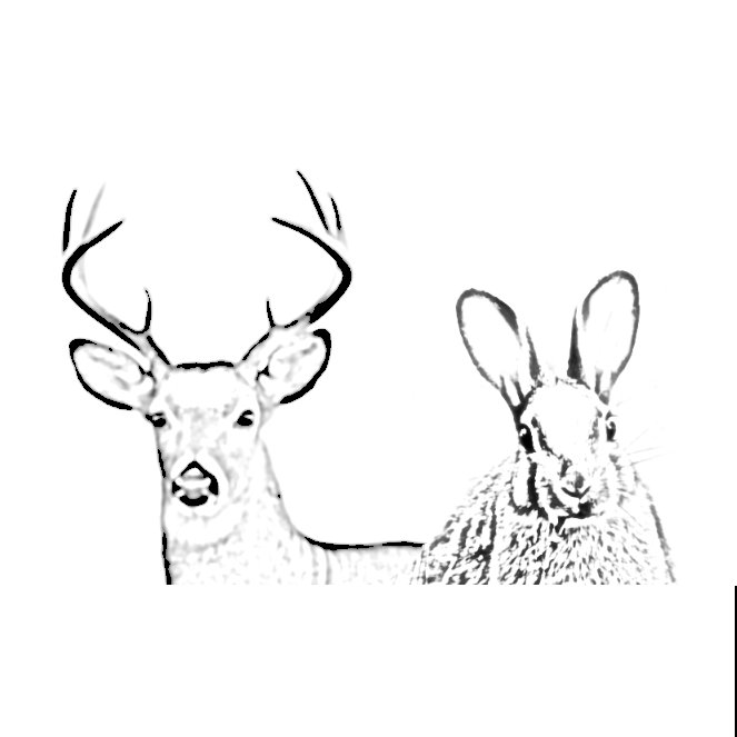 GFY Garden Monsters gfy-garden-monsters