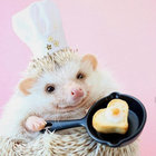 tomokatheaxolotl thumbnail