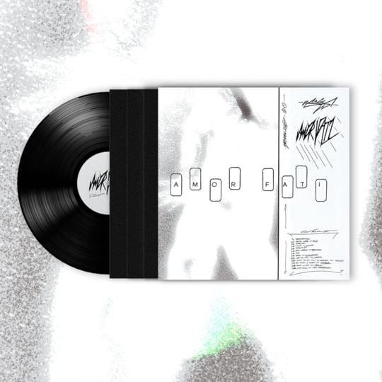Amor Fati LP | Visages