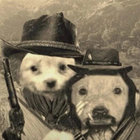 tbanken thumbnail