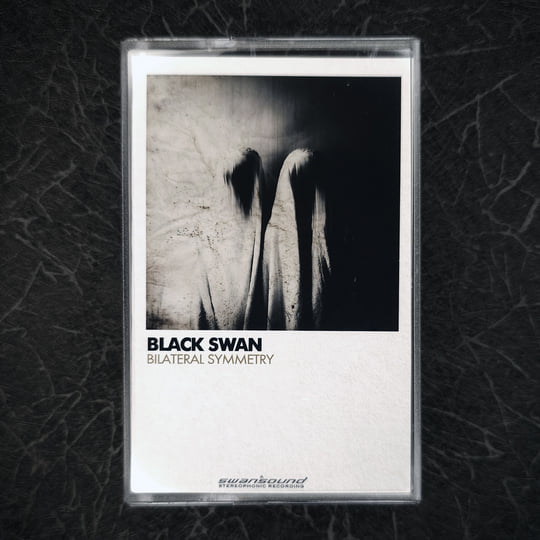 Bilateral Symmetry (2025) | Black Swan