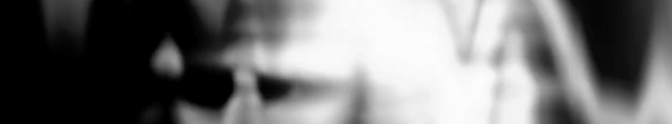 Phoebe Killdeer — Photo