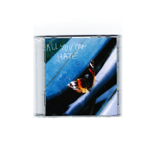 アート・デザイン・音楽 tyrone lebon / nothing lasts forever アート・デザイン・音楽 tyrone lebon / nothing lasts forever