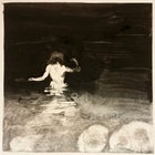 Lycautomata thumbnail