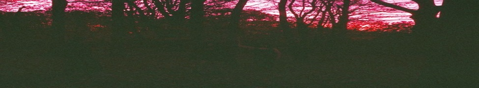 Goat Farm — Photo