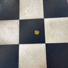 wandering-flux thumbnail