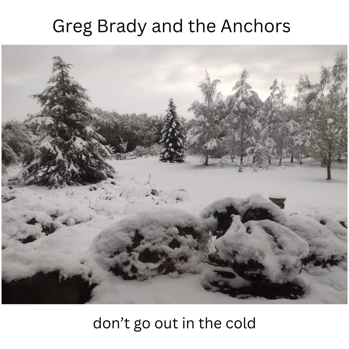 i'd rather walk (vinyl version) | greg brady and the anchors