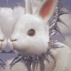 napalmdee thumbnail