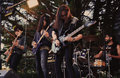 Blood Oath photo