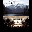 LeanderSeelenPuls thumbnail