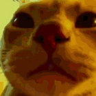 nothoooon thumbnail