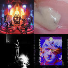 animal-nocturne thumbnail