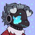phelicity image