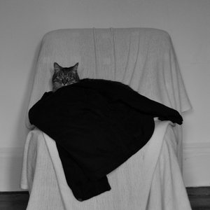 Music | Jason Riddell