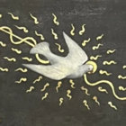 Runner-up Duck thumbnail