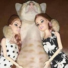 everythingisonfireny thumbnail