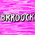 BRRDOCK image