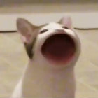samiel_vt thumbnail
