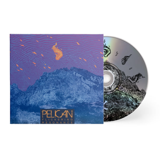 Flickering Resonance | Pelican