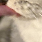 softlip thumbnail