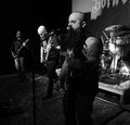 Born of Plagues image