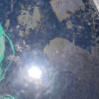 lewisenglefield thumbnail