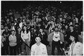 The South Hill Experiment — Photo