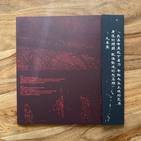 幻滅情歌Love Songs in Disillusion | 王子健Wang Zijian | WV