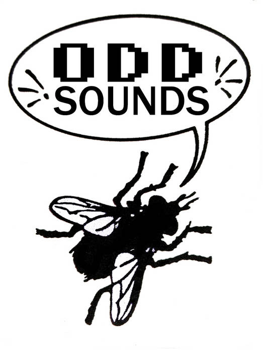 Music | ODD Sounds