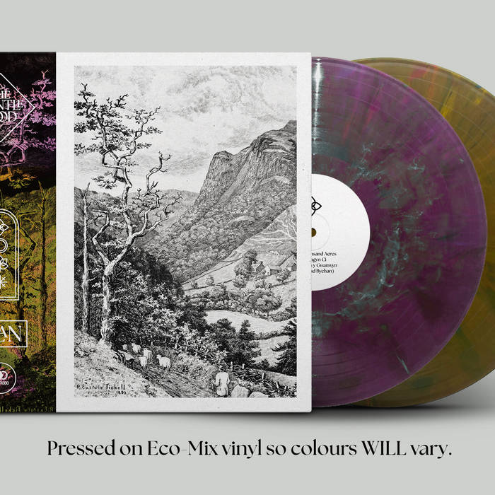 Album art
