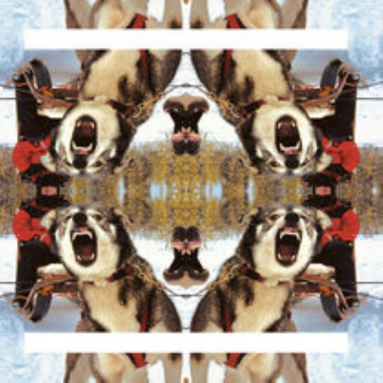 ii DESTIINO Lumière Noire