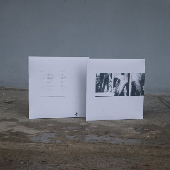 Veneer of Tolerance Remixes | JK Flesh