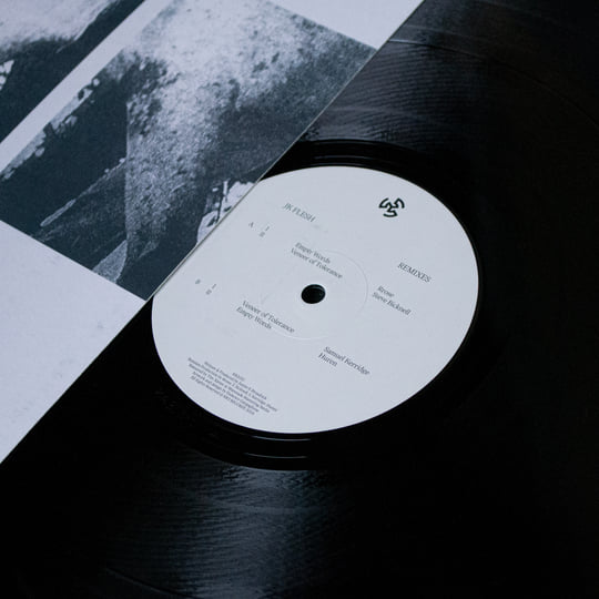 洋楽 DJ MR.FLESH REMIXES EP DJ MR.FLESH REMIXES EP