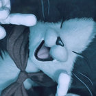 noirbear thumbnail