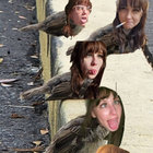 kittentitz666 thumbnail
