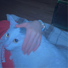 moonpiedumpling thumbnail