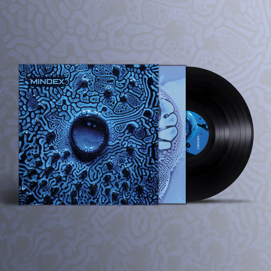 Fluidity | Mindex | Time Resonance Music