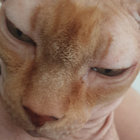 12341234 thumbnail