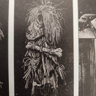 Ferne Gully  thumbnail