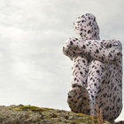 fran_farkhanadottir thumbnail