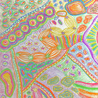 roodieri thumbnail