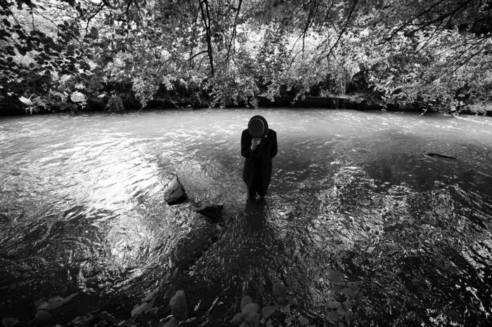 Evolution: Seeds & Streams | John Ellis