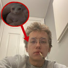 /ASYNC thumbnail