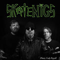 Skatenigs photo