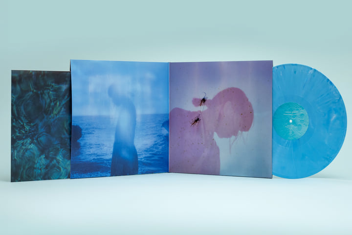 Luminescent Creatures＜初回限定盤/カラー盤＞ Luminescent Creatures | Ichiko Aoba
