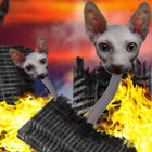 Fludesh thumbnail